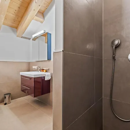 Ibex, A Cote De La Piste De Domek alpejski *