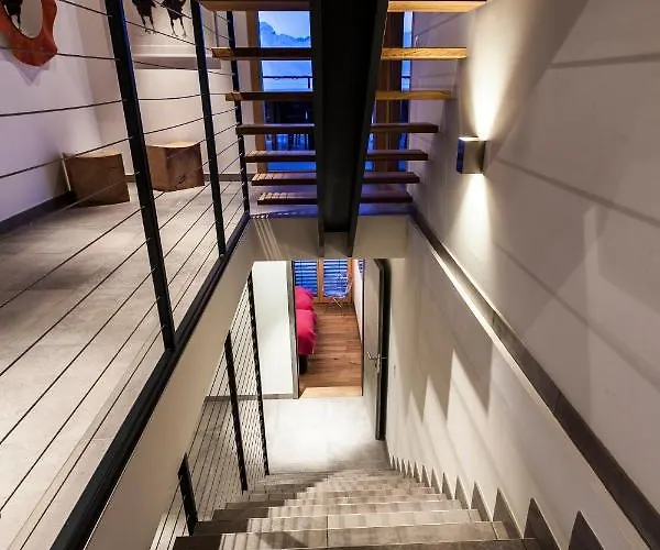 Ibex, A Cote De La Piste De Chalet Veysonnaz